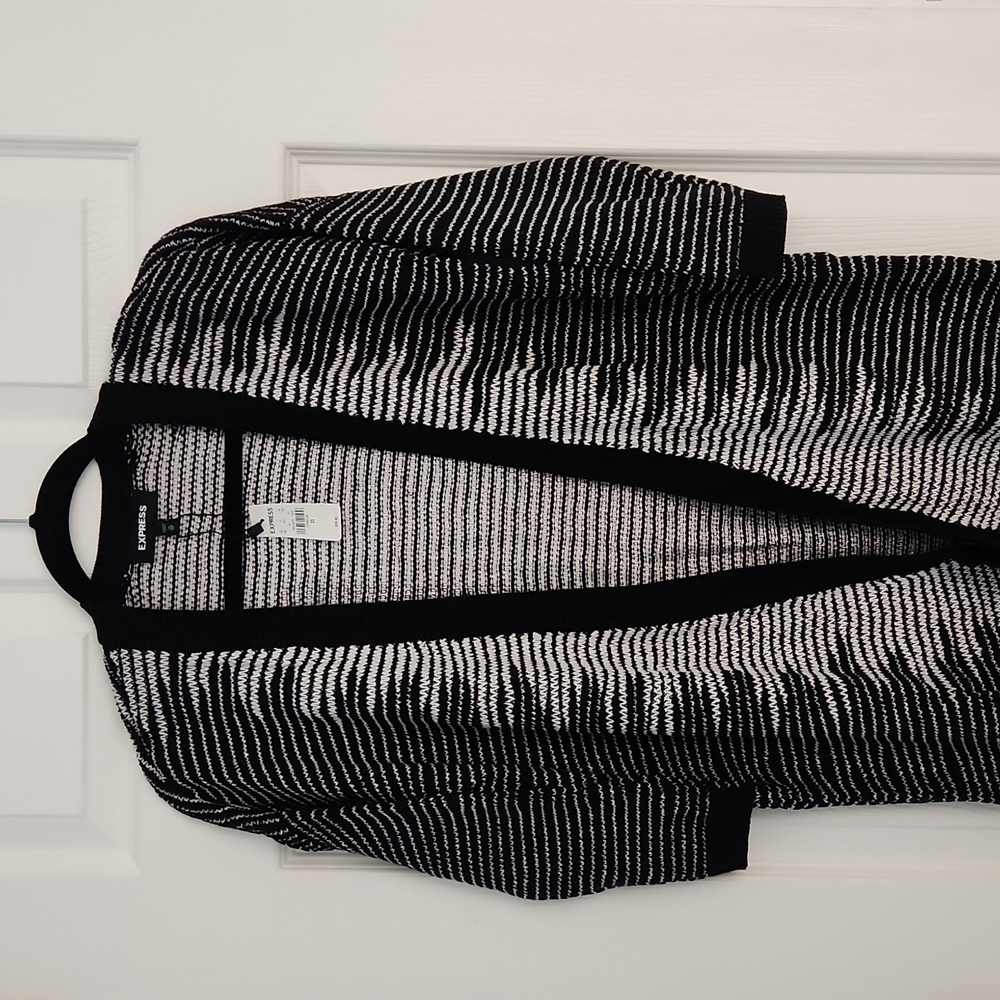 NWT Express Brand sweater
